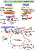 Cell cycle and division class 11th chapter 10.pdf